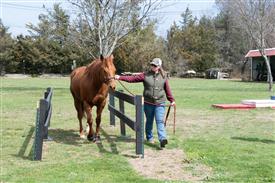 LR-WRF 0402026 Retreat-3558